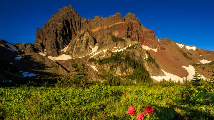 nature Mount Three Fingered Jack HD Desktop Wallpaper | Background Image