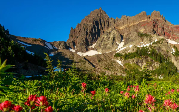 nature Mount Three Fingered Jack HD Desktop Wallpaper | Background Image