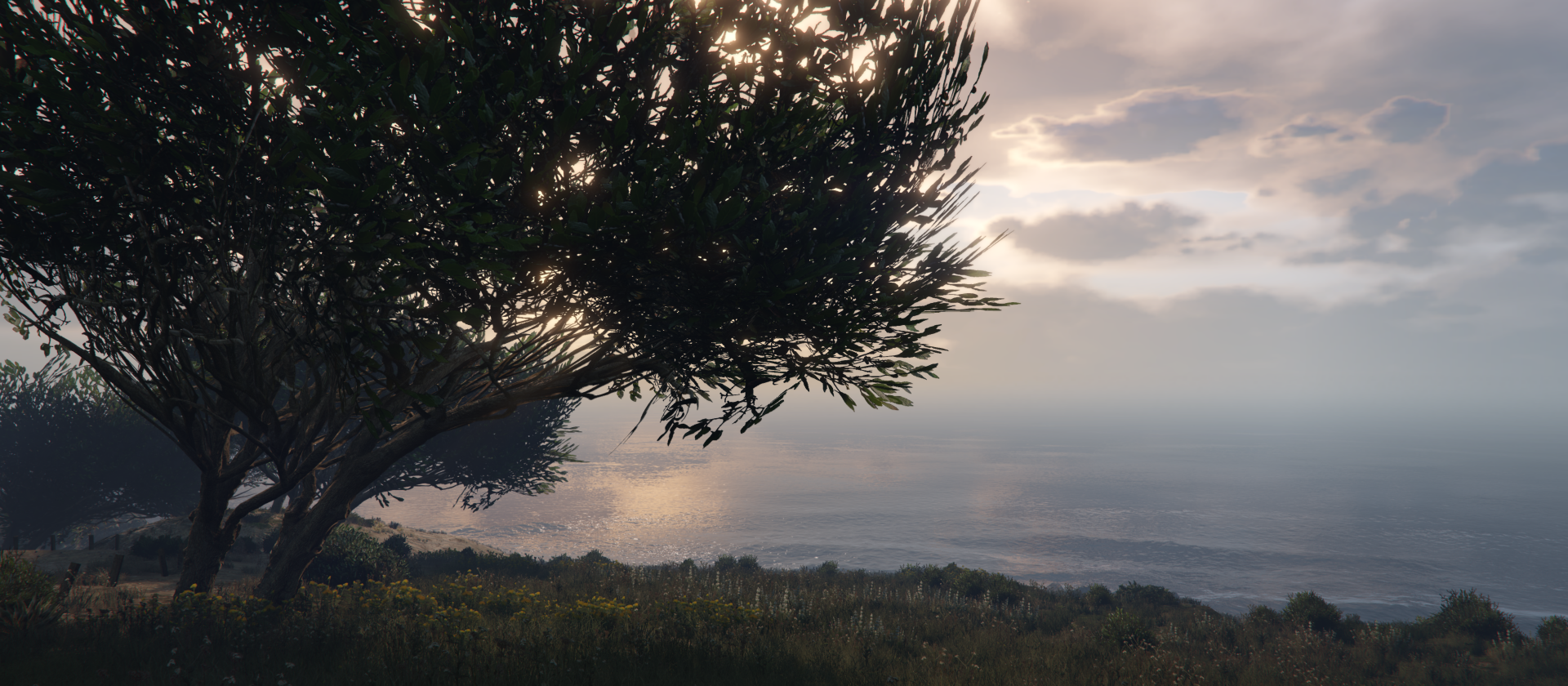 A serene HD wallpaper from Grand Theft Auto V, featuring a coastal landscape with a tree silhouetted against a tranquil sea and cloudy sky.
