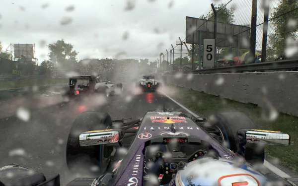 HD wallpaper featuring a 2015 F1 race in the rain, viewed from a driver's perspective.