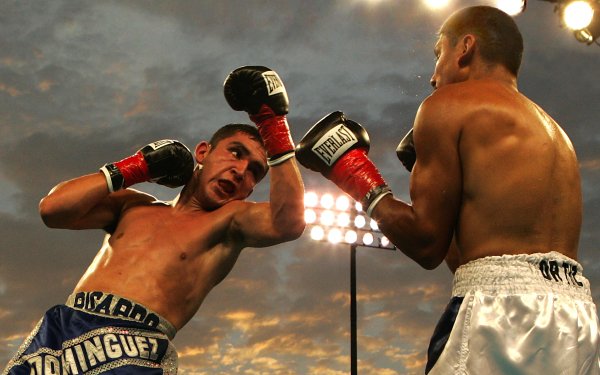 Sports Boxing Ricardo Dominguez Rafael Ortiz HD Wallpaper | Background Image