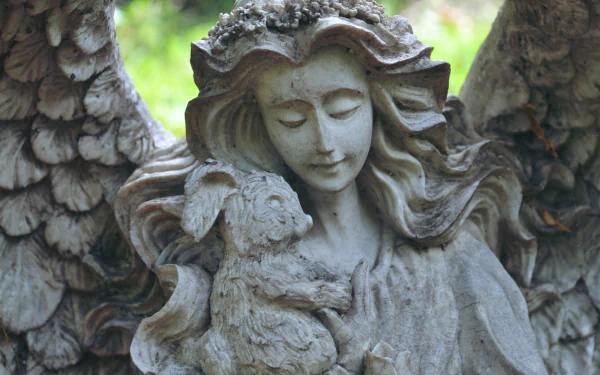 man made angel statue HD Desktop Wallpaper | Background Image