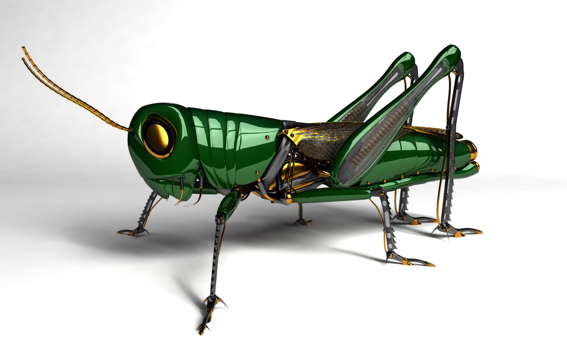 HD nature grasshopper wallpapers | Peakpx