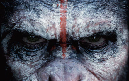 Close-up HD desktop wallpaper from the movie Dawn of the Planet of the Apes, featuring a detailed, intense gaze of an ape with tribal face paint.