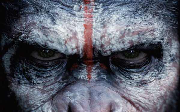 movie Dawn of the Planet of the Apes HD Desktop Wallpaper | Background Image