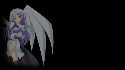 video game eXceed 3rd - Jade Penetrate Black Package HD Desktop Wallpaper | Background Image