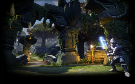 video game Fable Anniversary HD Desktop Wallpaper | Background Image