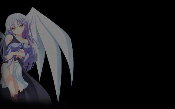 video game eXceed 3rd - Jade Penetrate Black Package HD Desktop Wallpaper | Background Image