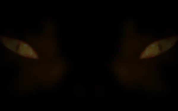video game NS2: Combat HD Desktop Wallpaper | Background Image