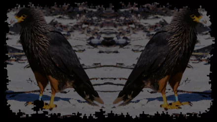 video game Pixel Puzzles 2: Birds HD Desktop Wallpaper | Background Image