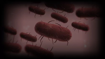 video game Plague Inc: Evolved HD Desktop Wallpaper | Background Image