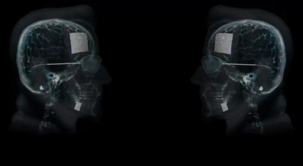 video game POSTAL 2 HD Desktop Wallpaper | Background Image