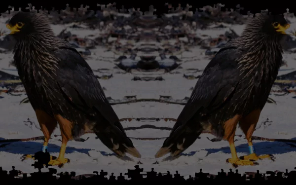 video game Pixel Puzzles 2: Birds HD Desktop Wallpaper | Background Image