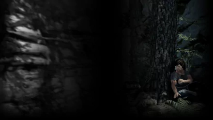 video game Rambo: The Video Game Rambo HD Desktop Wallpaper | Background Image