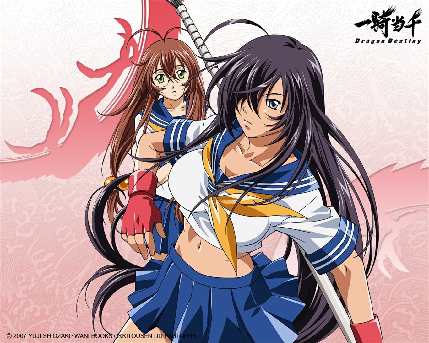 Ikki Tousen Wallpaper. 