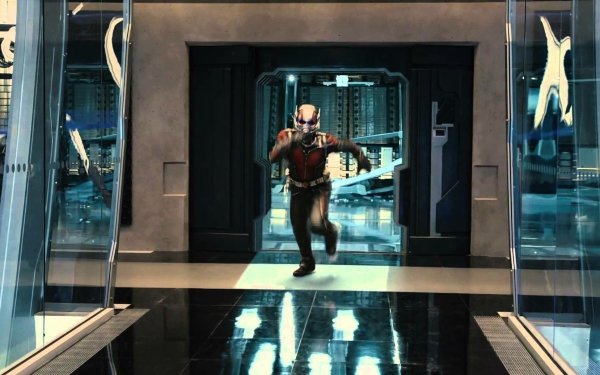 Movie Ant-Man HD Wallpaper | Background Image