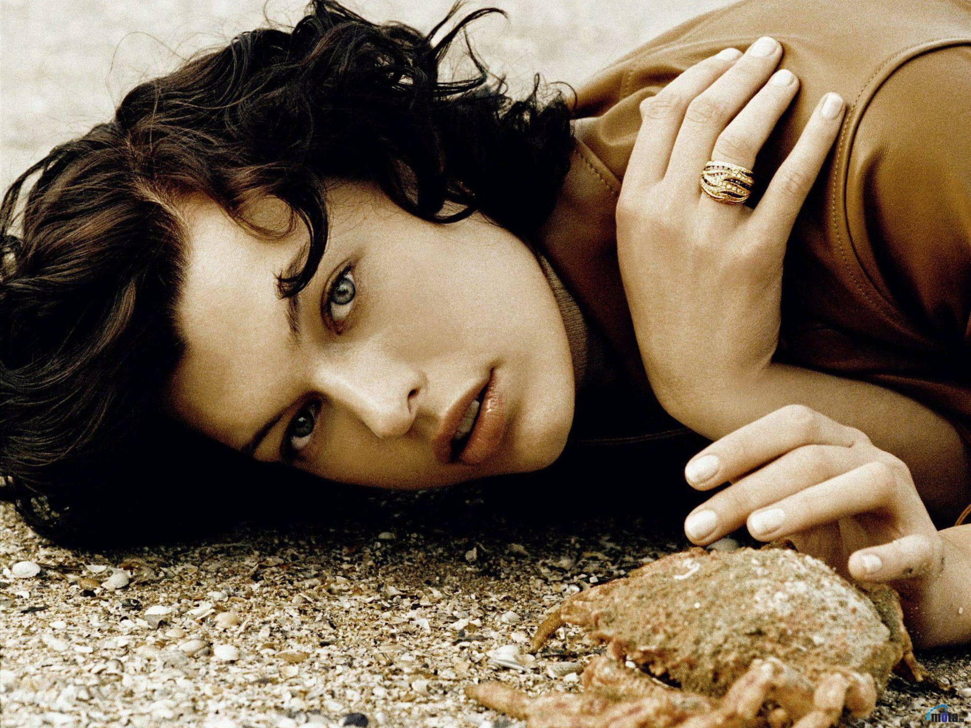 HD PC desktop wallpaper featuring a close-up portrait of celebrity Milla Jovovich lying on a textured surface, showcasing her intense gaze and natural beauty.