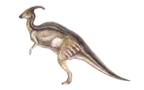 HD PC desktop wallpaper featuring a detailed Parasaurolophus dinosaur illustration with natural colors and textures.