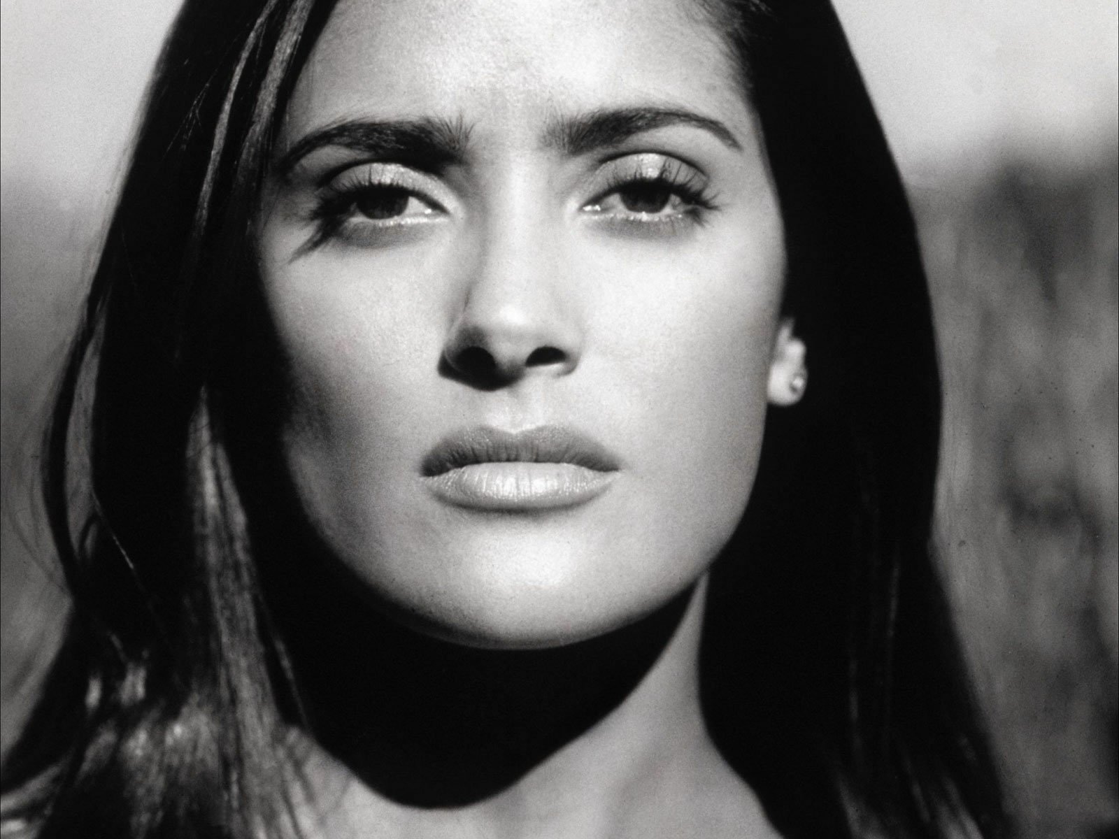 Download Celebrity Salma Hayek Wallpaper