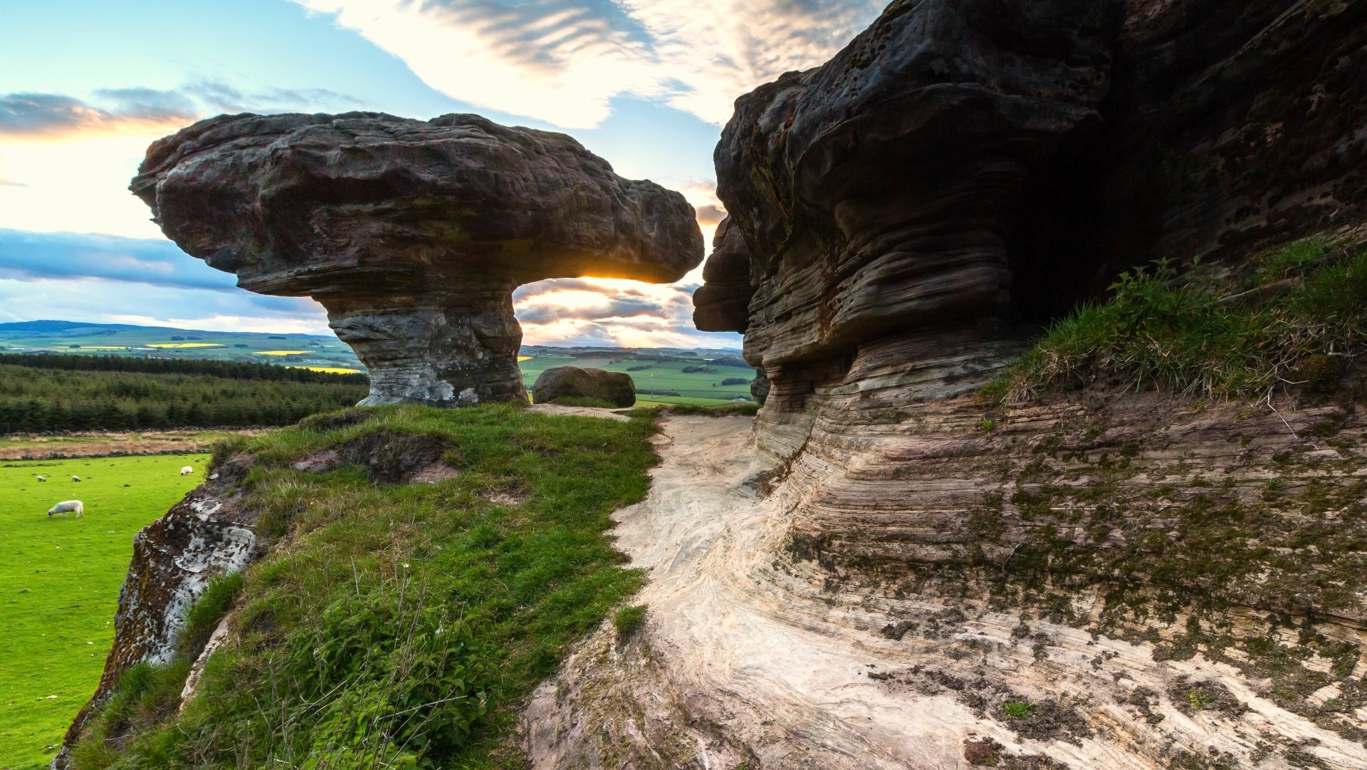 Download Nature Bunnet Stane 4k Ultra HD Wallpaper