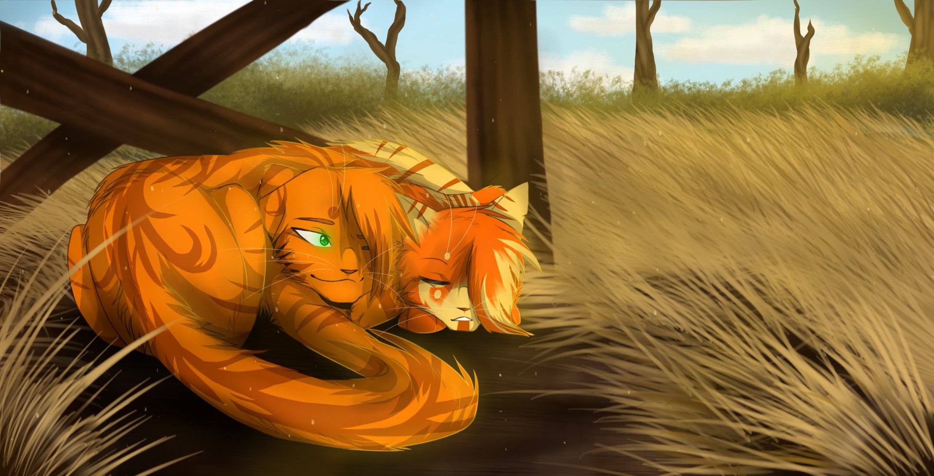 HD fantasy desktop wallpaper featuring two stylized cats with vibrant fur resting together in a sunlit, grassy outdoor setting.