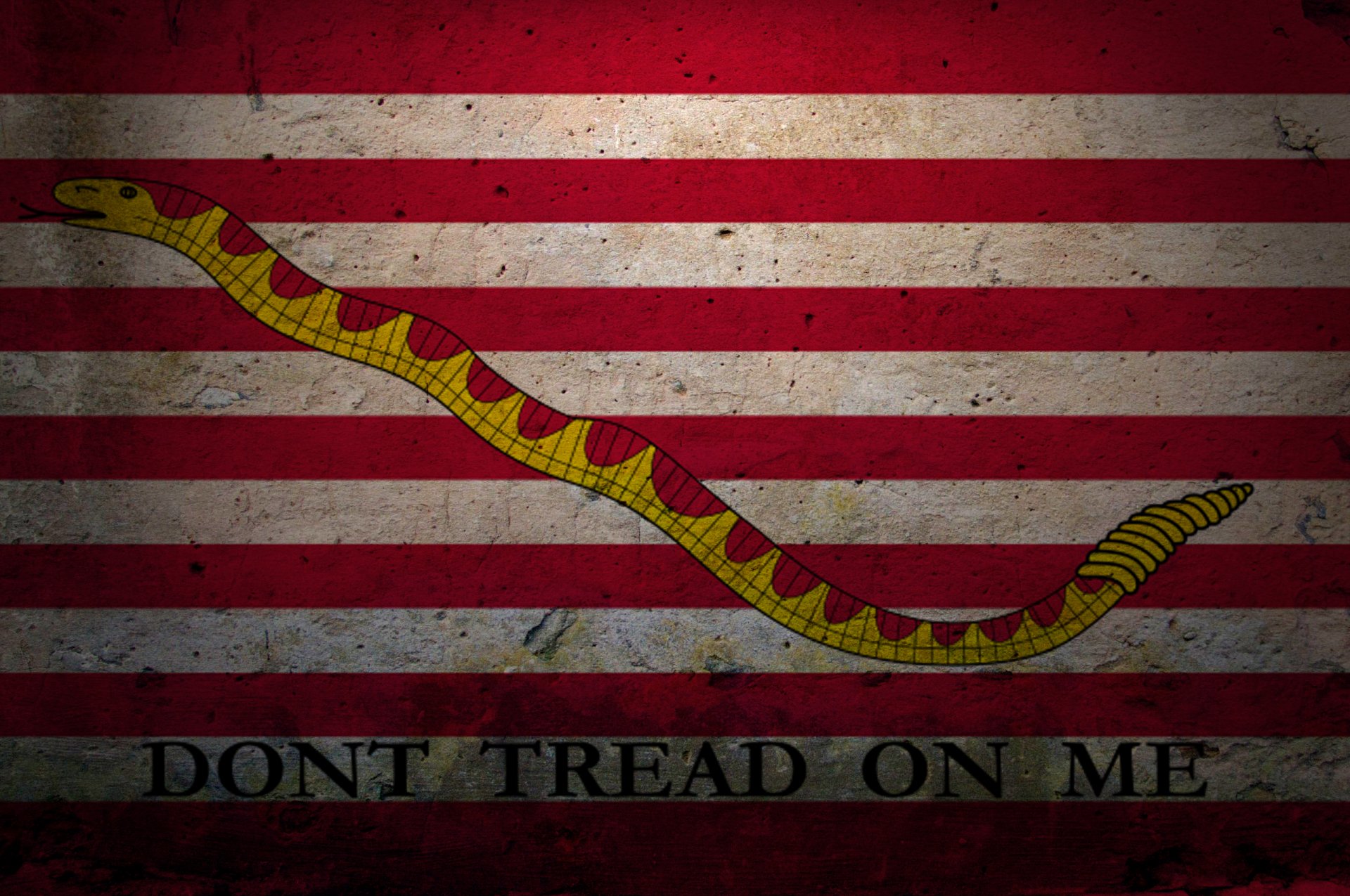 HD desktop wallpaper of the United States Navy Jack flag featuring a coiled rattlesnake and the phrase DON'T TREAD ON ME on red and white stripes.