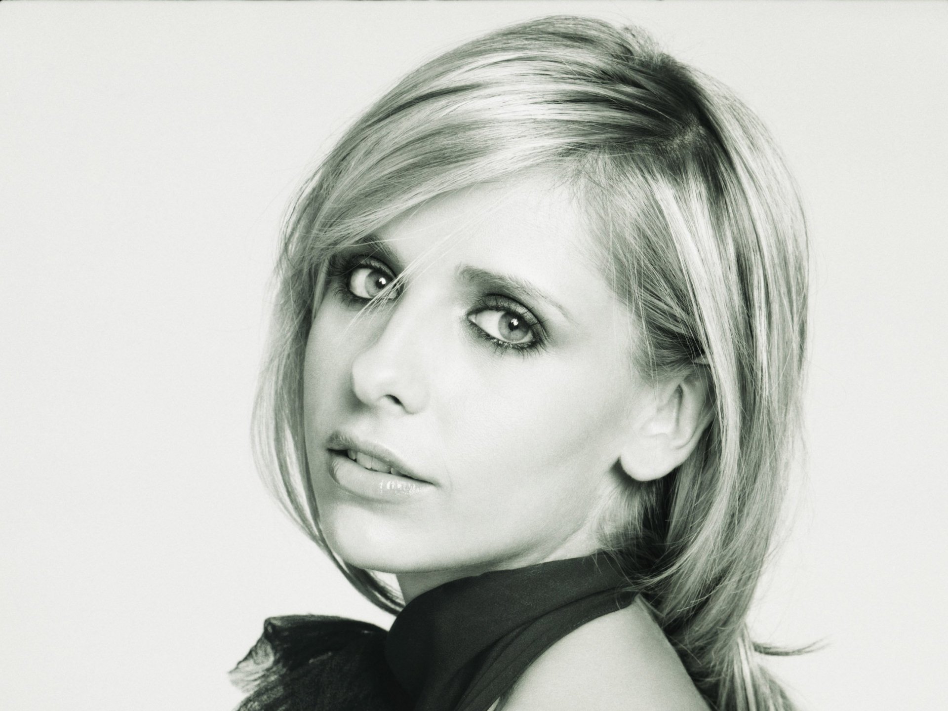 Download Celebrity Sarah Michelle Gellar HD Wallpaper