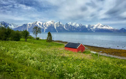 nature fjord HD Desktop Wallpaper | Background Image