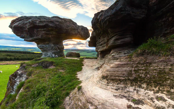 nature Bunnet Stane HD Desktop Wallpaper | Background Image