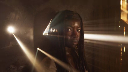 Michonne (The Walking Dead) Danai Gurira TV Show The Walking Dead HD Desktop Wallpaper | Background Image