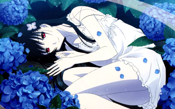A serene HD wallpaper featuring Rea Sanka from the anime Sankarea, surrounded by vibrant blue hydrangeas, exuding a calm and enchanting atmosphere.