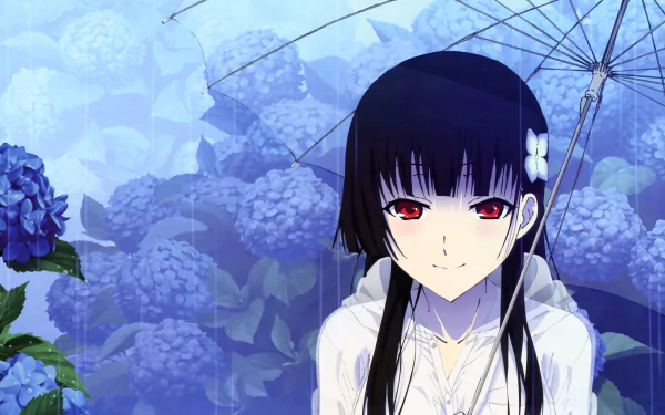 A stunning HD wallpaper featuring Rea Sanka from the anime Sankarea, standing under an umbrella amidst vibrant blue hydrangeas in a serene, rainy setting.