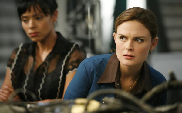 Camille Saroyan Tamara Taylor Emily Deschanel Temperance Brennan TV Show bones HD Desktop Wallpaper | Background Image