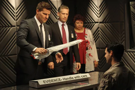 Caroline Julian Patricia Belcher Seeley Booth David Boreanaz TV Show Bones (TV Show) HD Desktop Wallpaper | Background Image