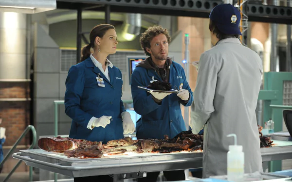 Jack Hodgins T.J. Thyne Emily Deschanel Temperance Brennan TV Show bones HD Desktop Wallpaper | Background Image