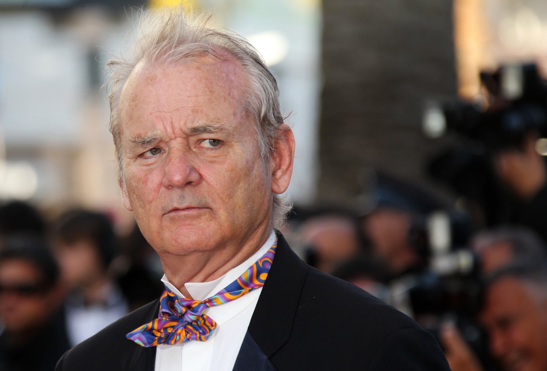 Bill Murray HD Wallpaper