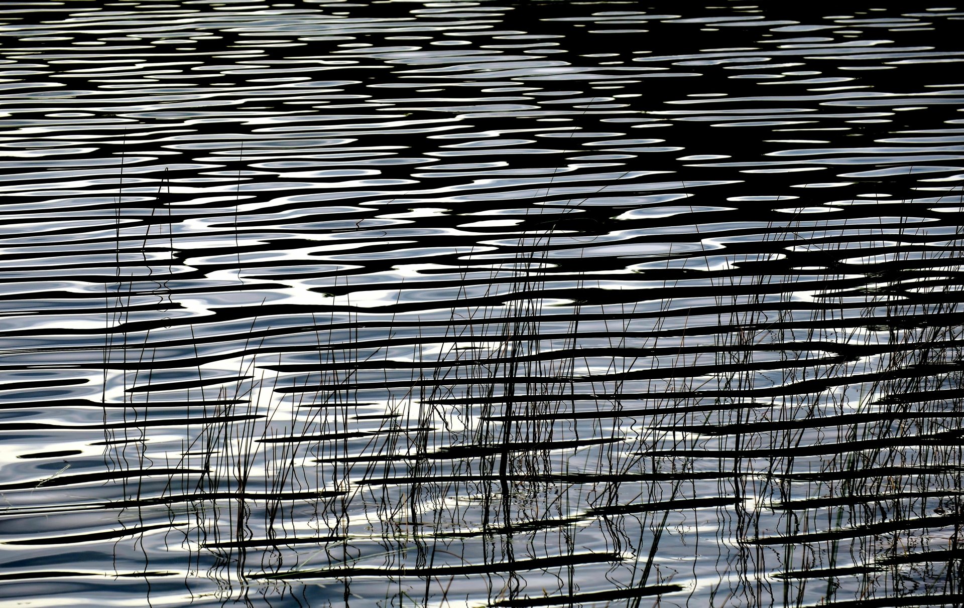 4K Ultra HD desktop wallpaper showing rippling water reflections with tall grasses silhouetted in a serene natural setting.