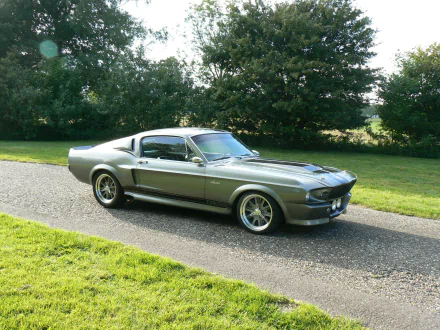 fastback muscle car vehicle Shelby GT500 HD Desktop Wallpaper | Background Image