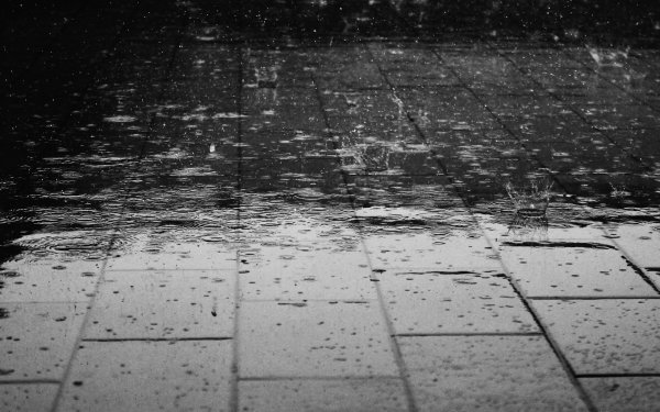 Photography Black & White Rain Water Drop Water HD Wallpaper | Background Image