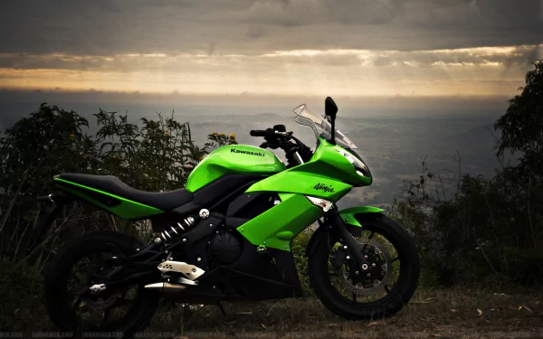 HD PC desktop wallpaper featuring a vibrant green Kawasaki Ninja motorcycle parked outdoors with a scenic, cloudy sky and foliage in the background.