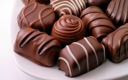  Delicious Plate Of Chocolate Treats