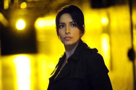 Sarah Shahi TV Show Person Of Interest HD Desktop Wallpaper | Background Image