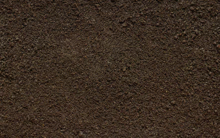 nature soil HD Desktop Wallpaper | Background Image