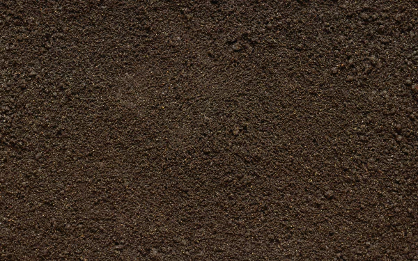 nature soil HD Desktop Wallpaper | Background Image