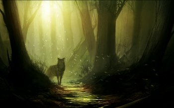 Wallpaper ID: 647812