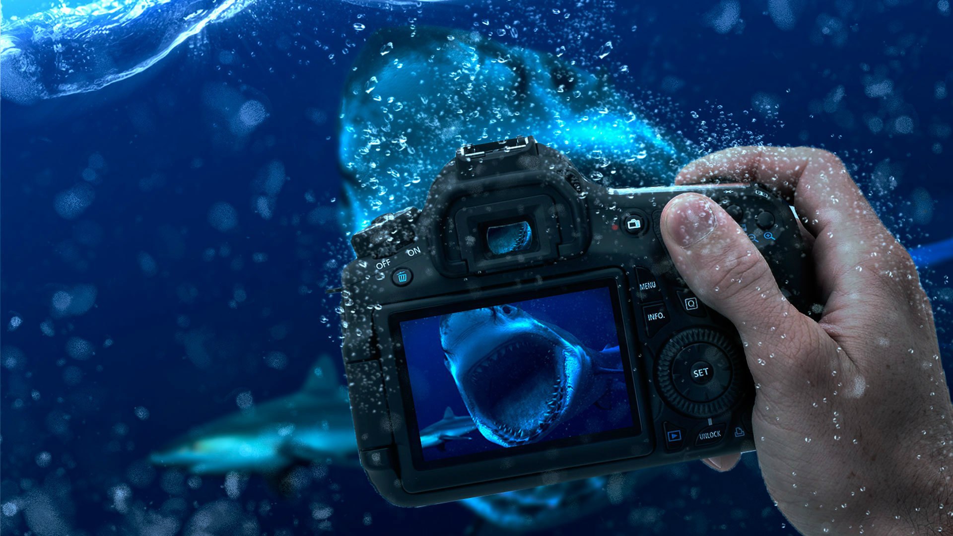 Underwater Photography Manipulation HD Wallpaper ...