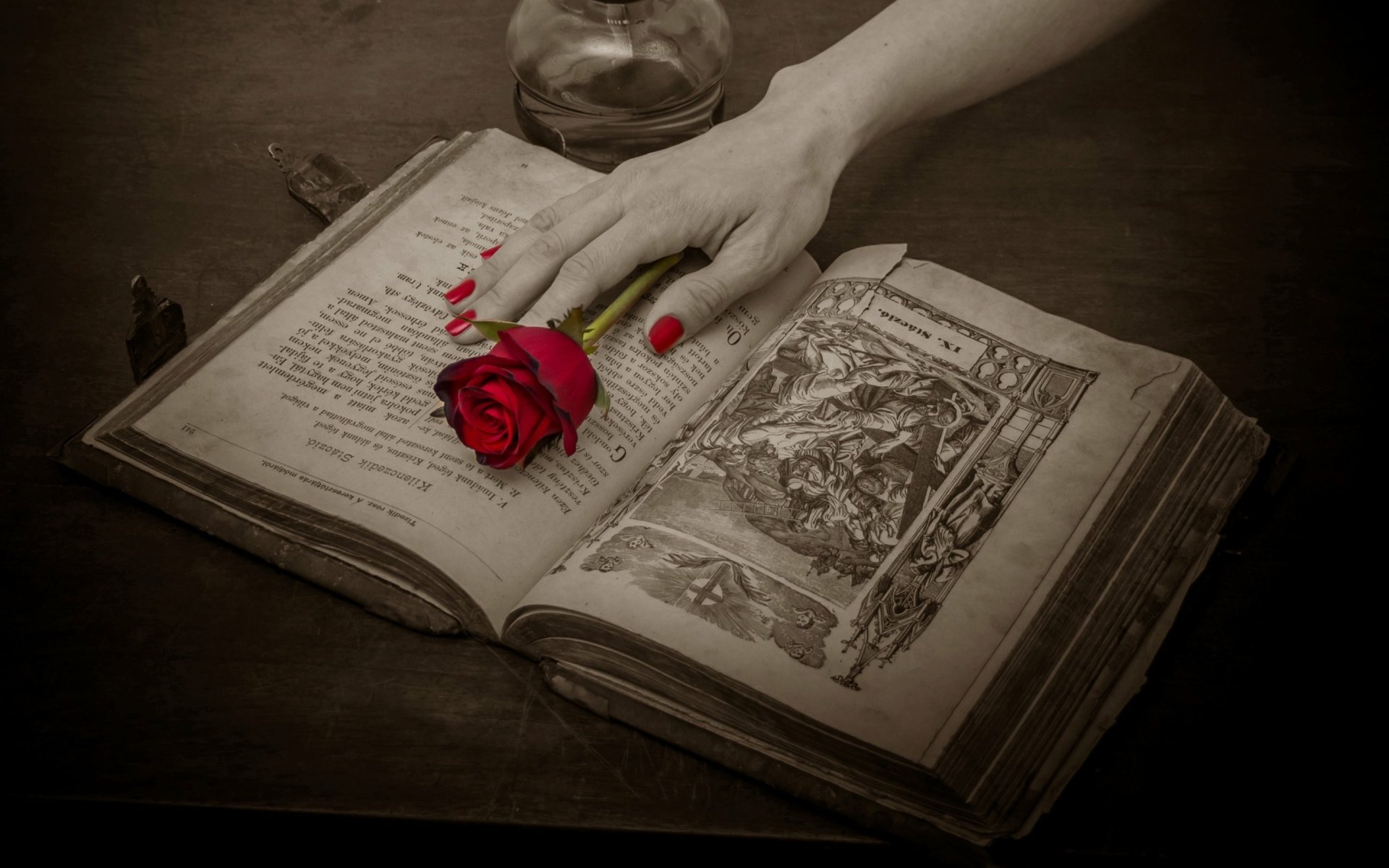 A hand with striking red nails rests gently on an old, open book, adorned with a vibrant rose, creating a striking contrast in this selective color artwork.
