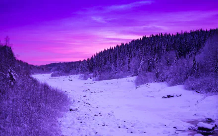  Winter Landscape by Anders Jildén