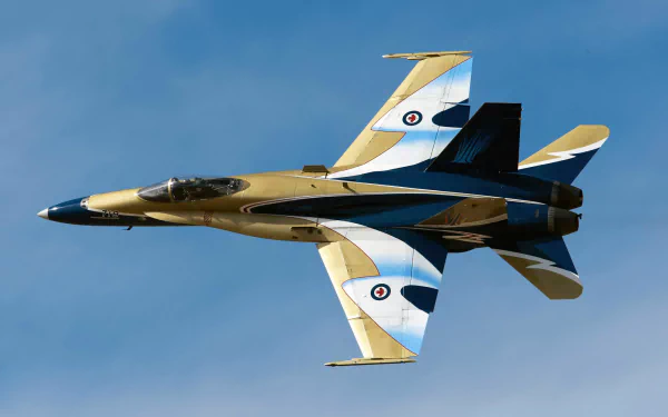 jet fighter aircraft military McDonnell Douglas CF-18 Hornet HD Desktop Wallpaper | Background Image