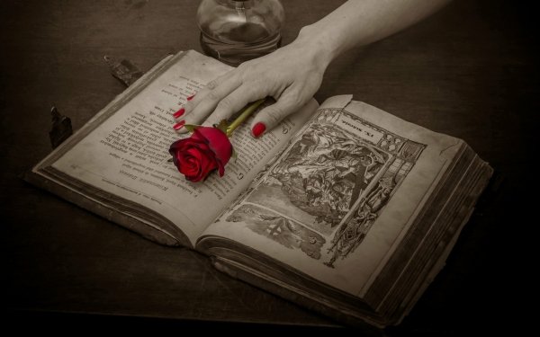 Man Made Book Religious Hand Rose Selective Color HD Wallpaper | Background Image